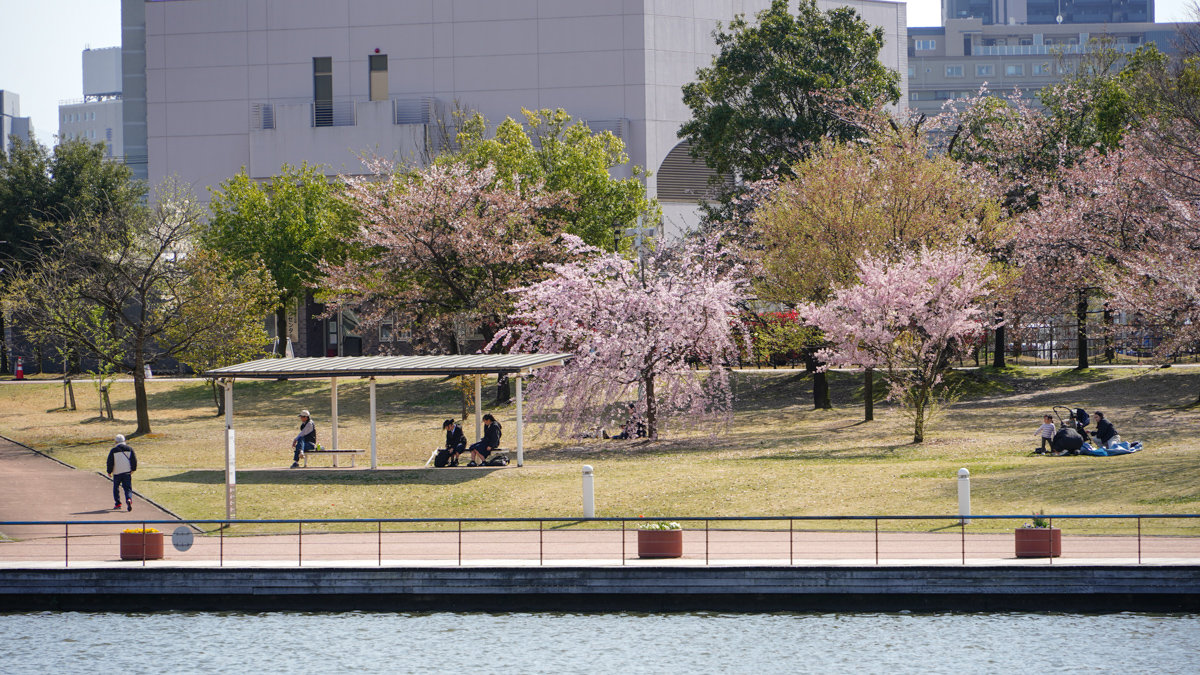 世界最美星巴克 |storestarbucks富山環水公園店-位於富岩運河環水公園內,JR富山前駅不遠 星巴克富山環水公園店