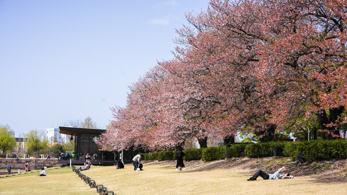 世界最美星巴克 |storestarbucks富山環水公園店-位於富岩運河環水公園內,JR富山前駅不遠 星巴克富山環水公園店