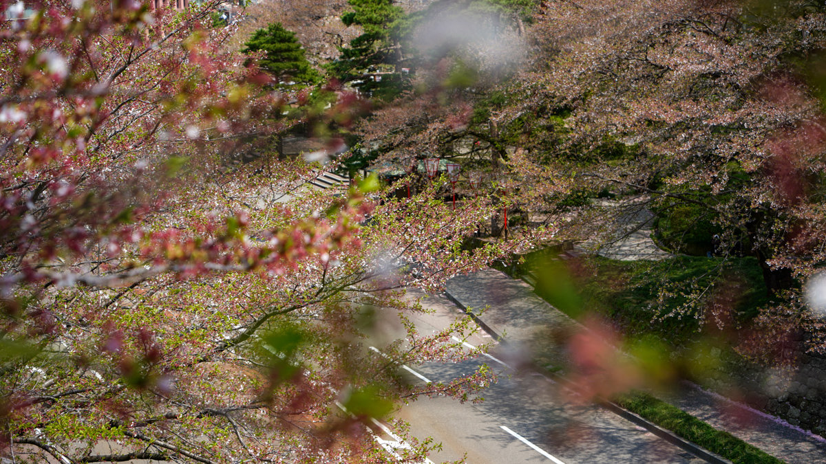 金澤城公園