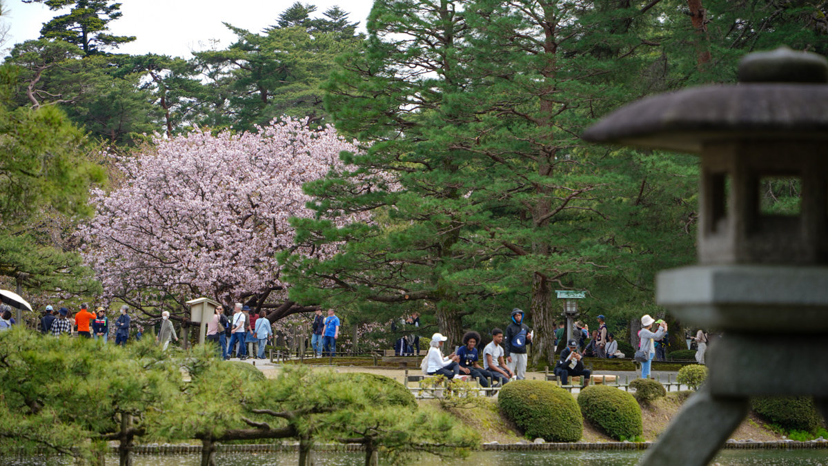 金澤景點 |兼六園 -內有交通方式,門票資訊,推薦參觀路線 兼六園