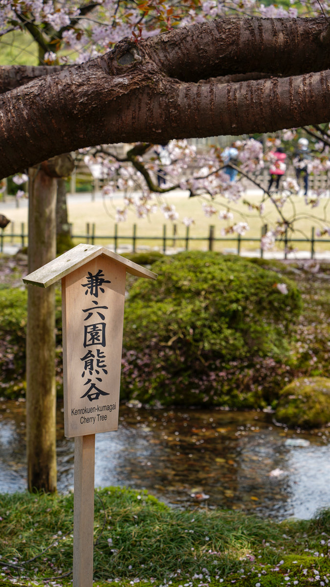 金澤景點 |兼六園 -內有交通方式,門票資訊,推薦參觀路線 兼六園
