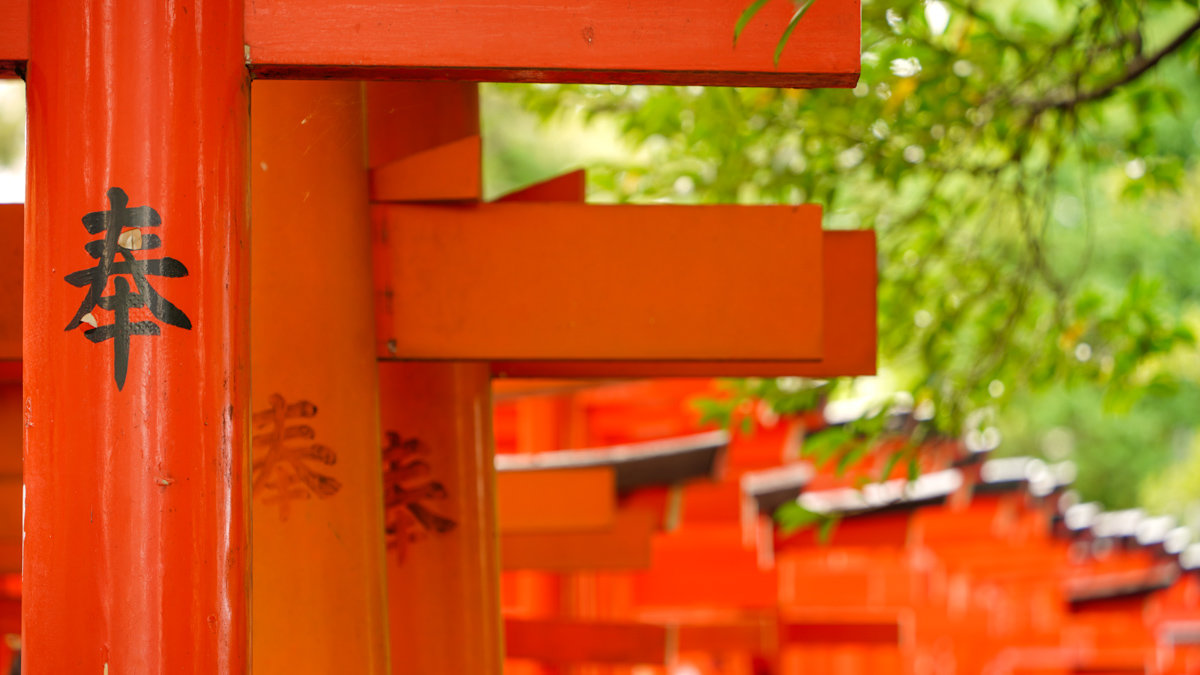 根津神社杜鵑花園:東京春季必訪的花海秘境,內含活動日期,票價,交通指引 根津神社杜鵑花園