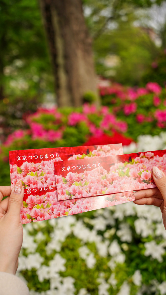 根津神社杜鵑花園:東京春季必訪的花海秘境,內含活動日期,票價,交通指引 根津神社杜鵑花園