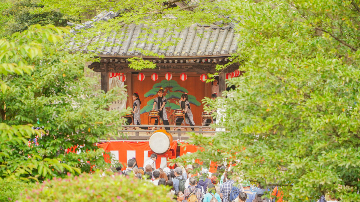 根津神社杜鵑花園:東京春季必訪的花海秘境,內含活動日期,票價,交通指引 根津神社杜鵑花園
