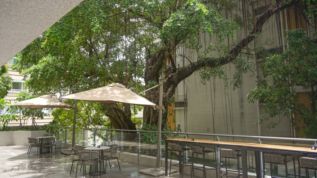 台南飯店五星新星!2025禧榕軒大飯店‧百鴦花園餐廳:在百年老榕下吃出在地美味! 禧榕軒大飯店