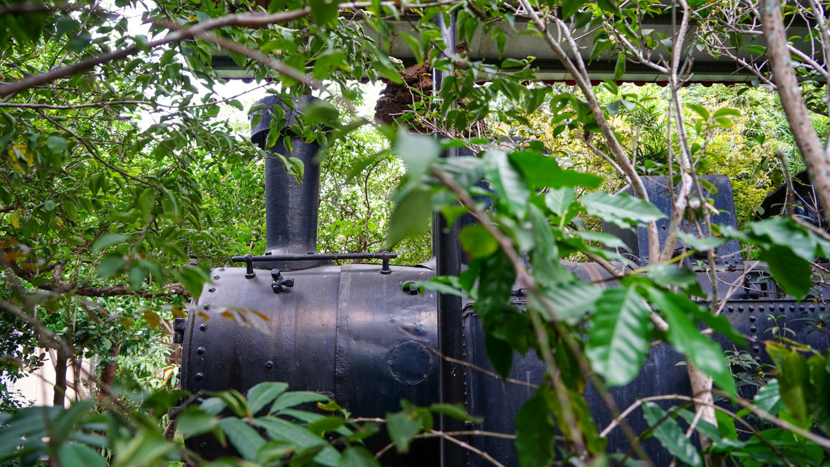 高雄聚餐推薦|觀音山綠野山莊土雞城:免費停車+寵物友善+土雞料理全攻略 觀音山 綠野山莊土雞城環境