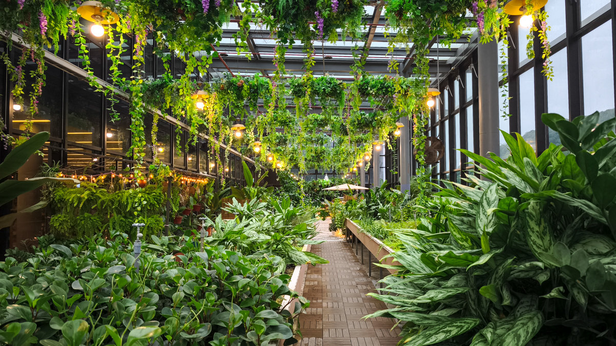 宜蘭蘇澳冬蒔茶屋|拍照控必看!環境、美食、雷點、亮點全部說給你聽 冬蒔茶屋