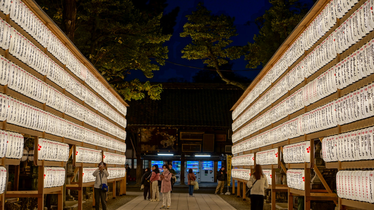 京都賞楓必訪|北野天滿宮 夜楓|限定季節開放全攻略 北野天滿宮 夜楓