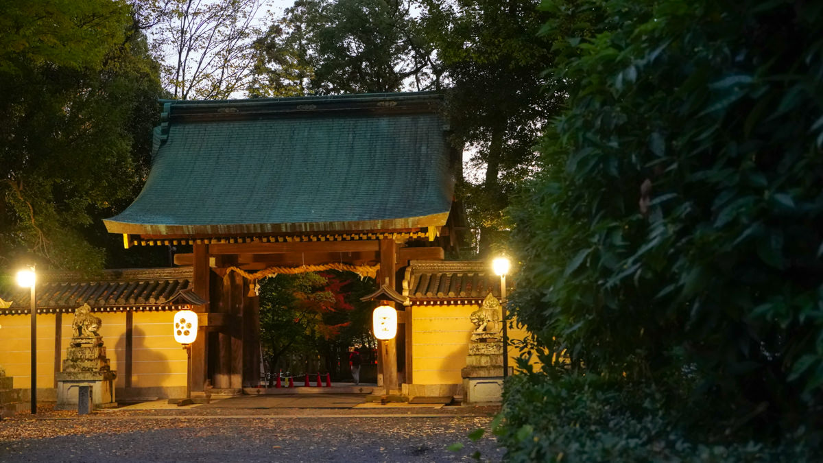 京都賞楓必訪|北野天滿宮 夜楓|限定季節開放全攻略 北野天滿宮 夜楓