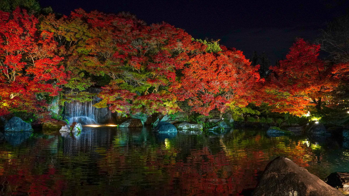 姬路城西御屋敷跡庭園 好古園｜秋楓夜景深度旅遊指南