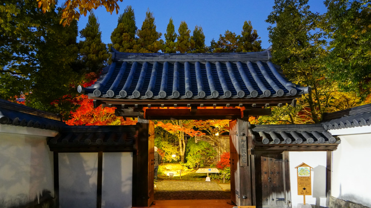 姬路城西御屋敷跡庭園 好古園|秋楓夜景深度旅遊指南 姬路城西御屋敷跡庭園 好古園