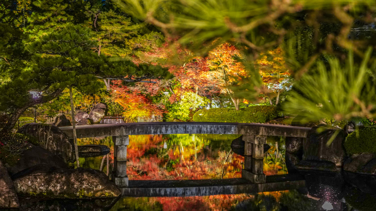 姬路城西御屋敷跡庭園 好古園|秋楓夜景深度旅遊指南 姬路城西御屋敷跡庭園 好古園