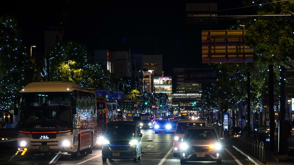 姬路城西御屋敷跡庭園 好古園|秋楓夜景深度旅遊指南 Himeji 大手前通點燈秀