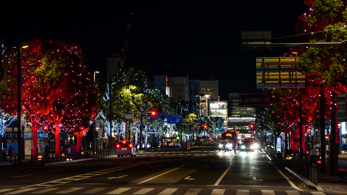姬路城西御屋敷跡庭園 好古園|秋楓夜景深度旅遊指南 Himeji 大手前通點燈秀