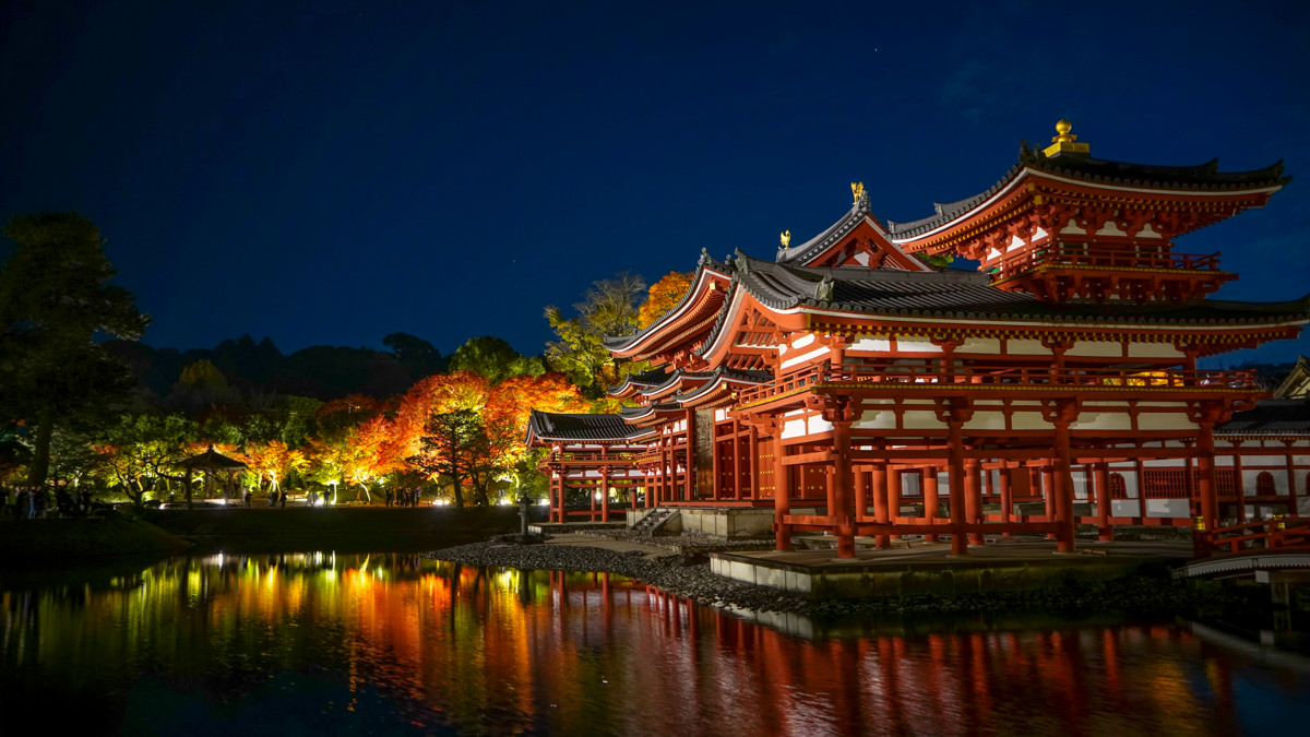 平等院秋夜｜夜間點燈超夢幻｜京都宇治楓紅特別篇