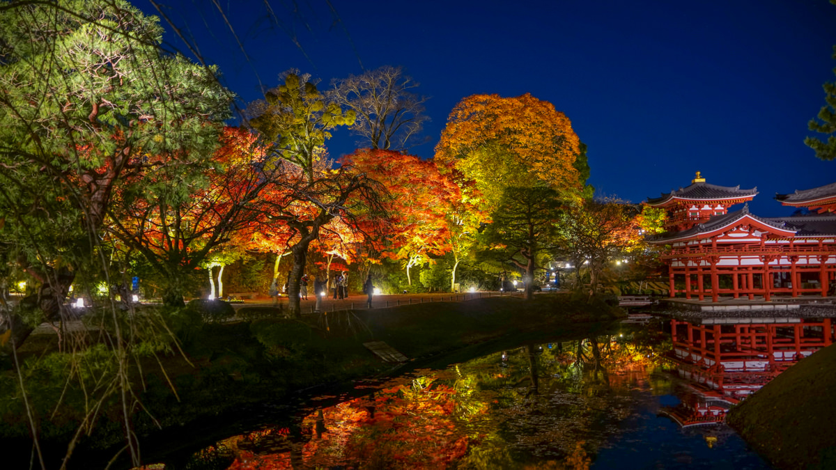 平等院秋夜|夜間點燈超夢幻|京都宇治楓紅特別篇 平等院