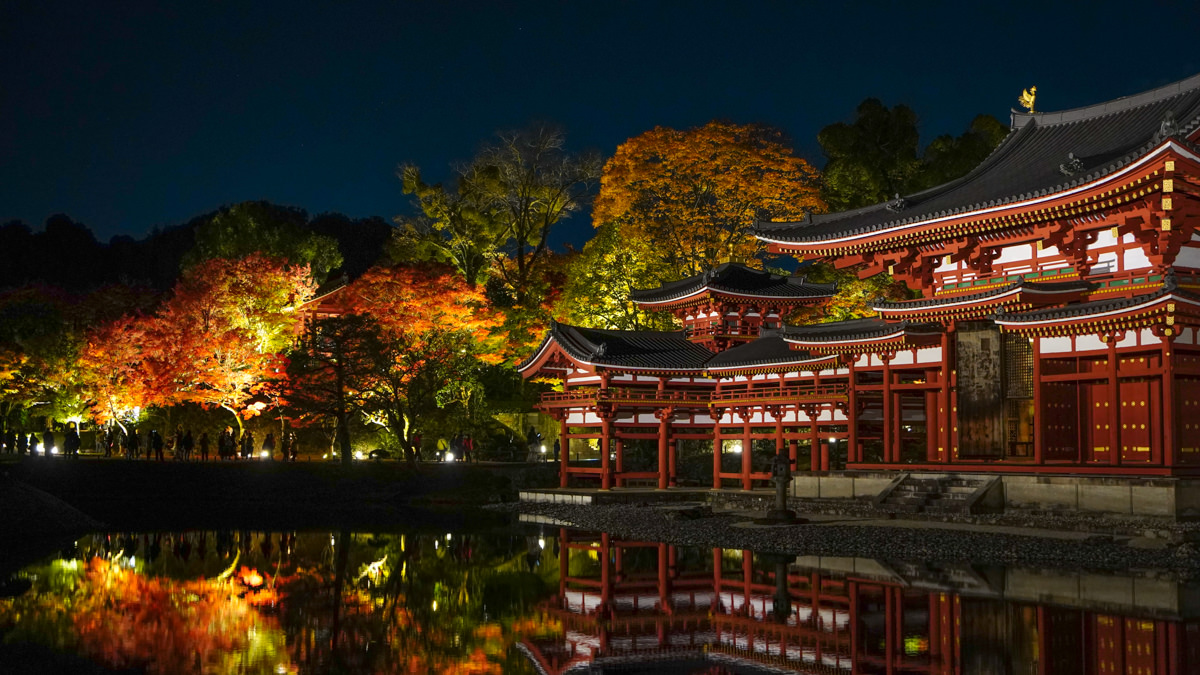 平等院秋夜|夜間點燈超夢幻|京都宇治楓紅特別篇 平等院