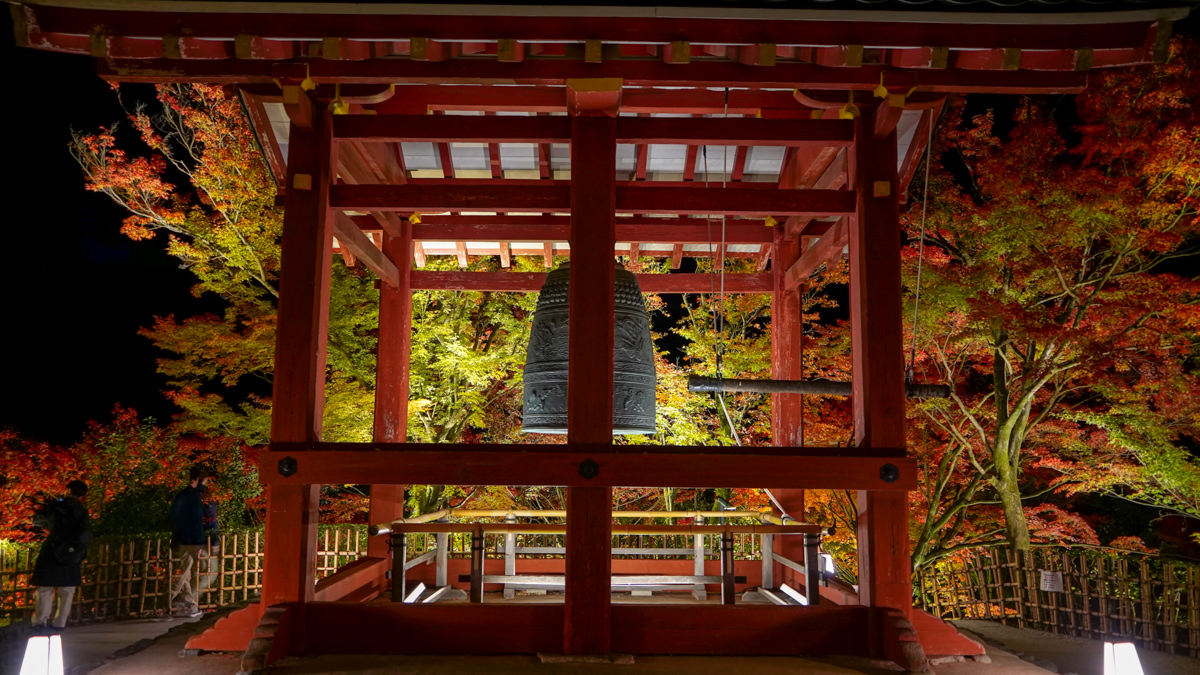 平等院秋夜|夜間點燈超夢幻|京都宇治楓紅特別篇 平等院