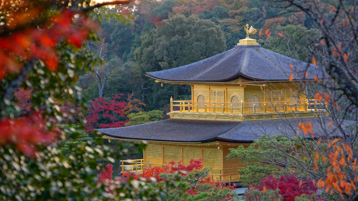 金閣寺