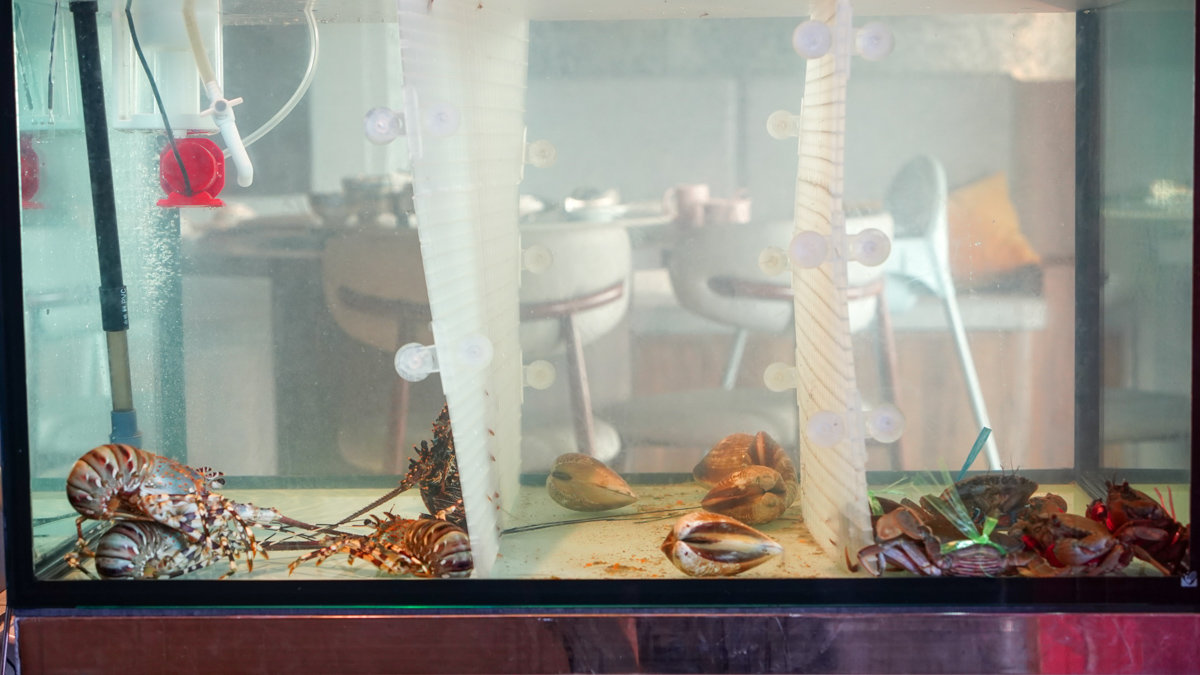 禎美樓 砂鍋濃雞湯X海鮮料理