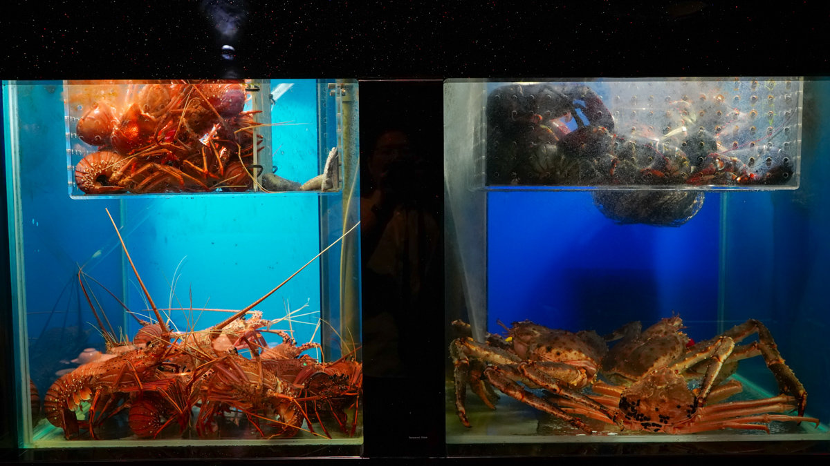 高雄精緻鍋物推薦|銅花精緻涮涮鍋美術館店:專人服務的活體海鮮火鍋體驗 銅花精緻涮涮鍋 高雄美術館店