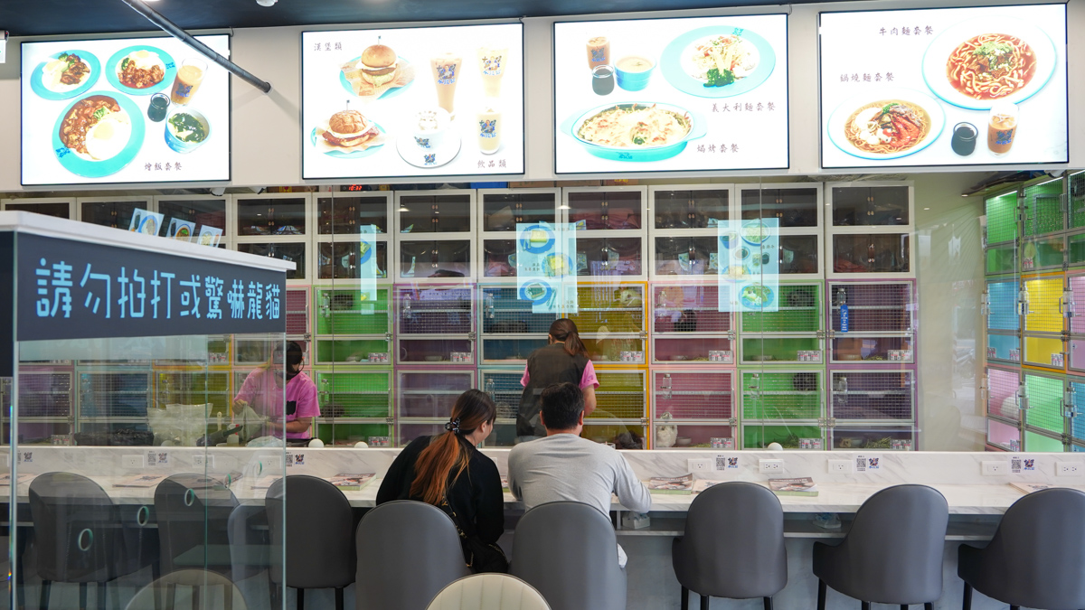 高雄寵物餐廳推薦|大眾水龍貓-龍貓咖啡、龍貓厚片超可愛,還有火鍋與簡餐 大眾水龍貓環境