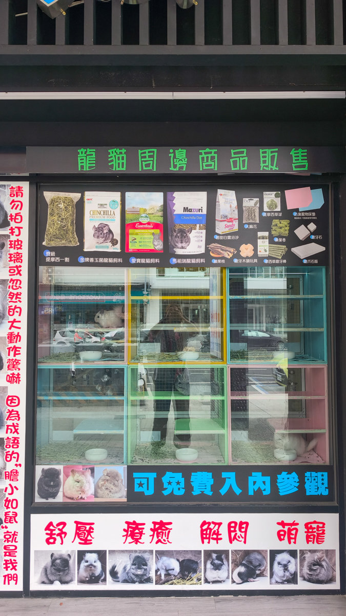 高雄寵物餐廳推薦|大眾水龍貓-龍貓咖啡、龍貓厚片超可愛,還有火鍋與簡餐 大眾水龍貓